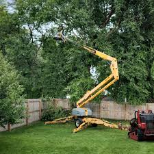 Best Hazardous Tree Removal  in Hereford, TX