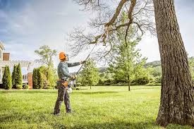 Best Leaf Removal  in Hereford, TX